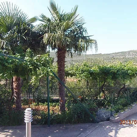 Palma Daire