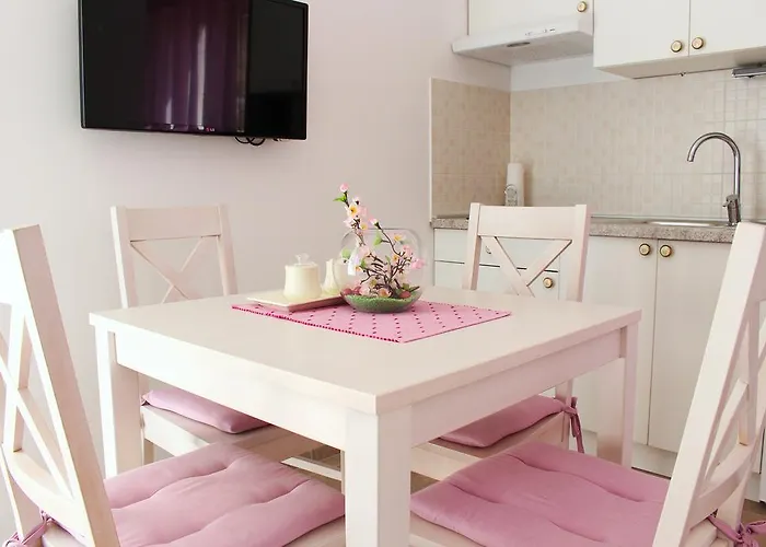 Palma * שיבניק